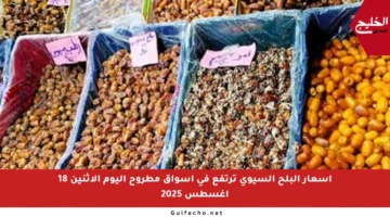 أسعار البلح السيوي ترتفع في أسواق مطروح اليوم الإثنين 18 أغسطس 2025